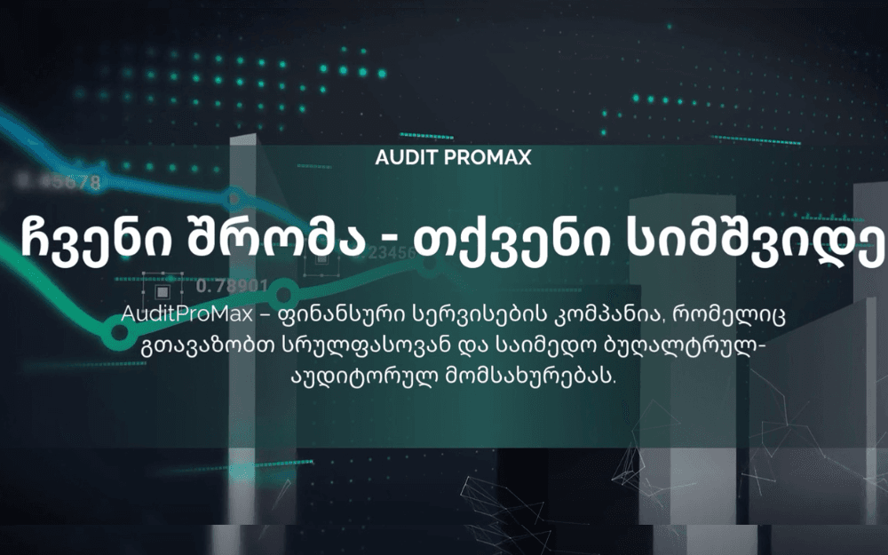 Auditpm.ge