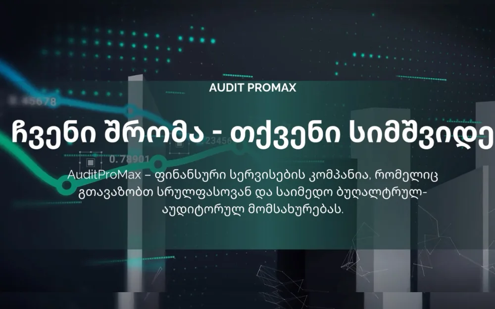 Auditpm.ge — აუდიტორული კომპანიის ვებსაიტის დამზადება, ბრენდინგი და SMM